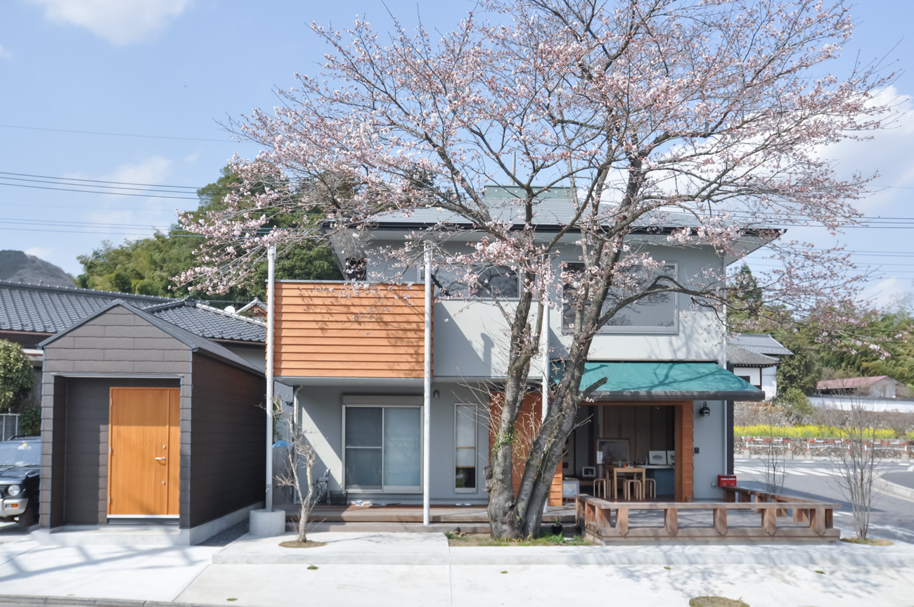 樹齢60年の桜の木を中心とした配置計画