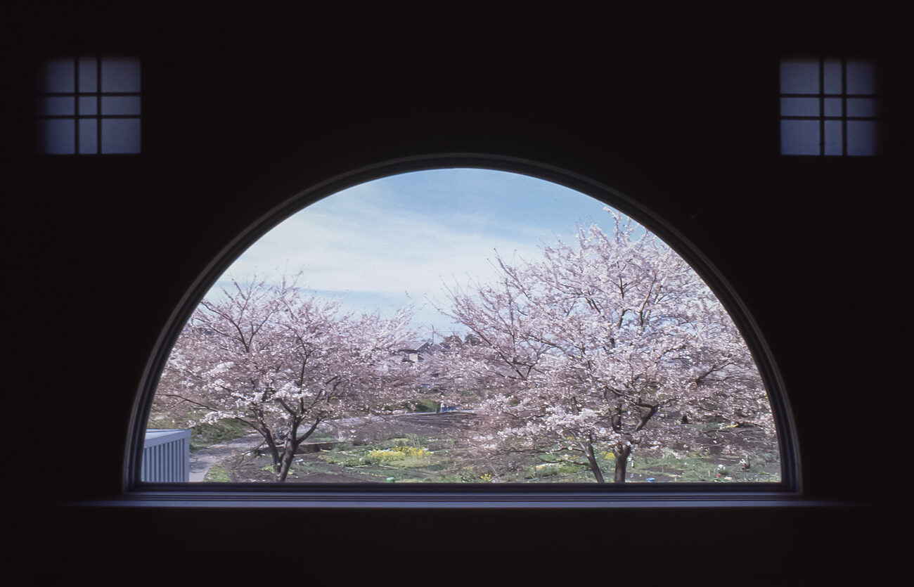 2階和室の半円形のFIX窓と、窓の外の桜