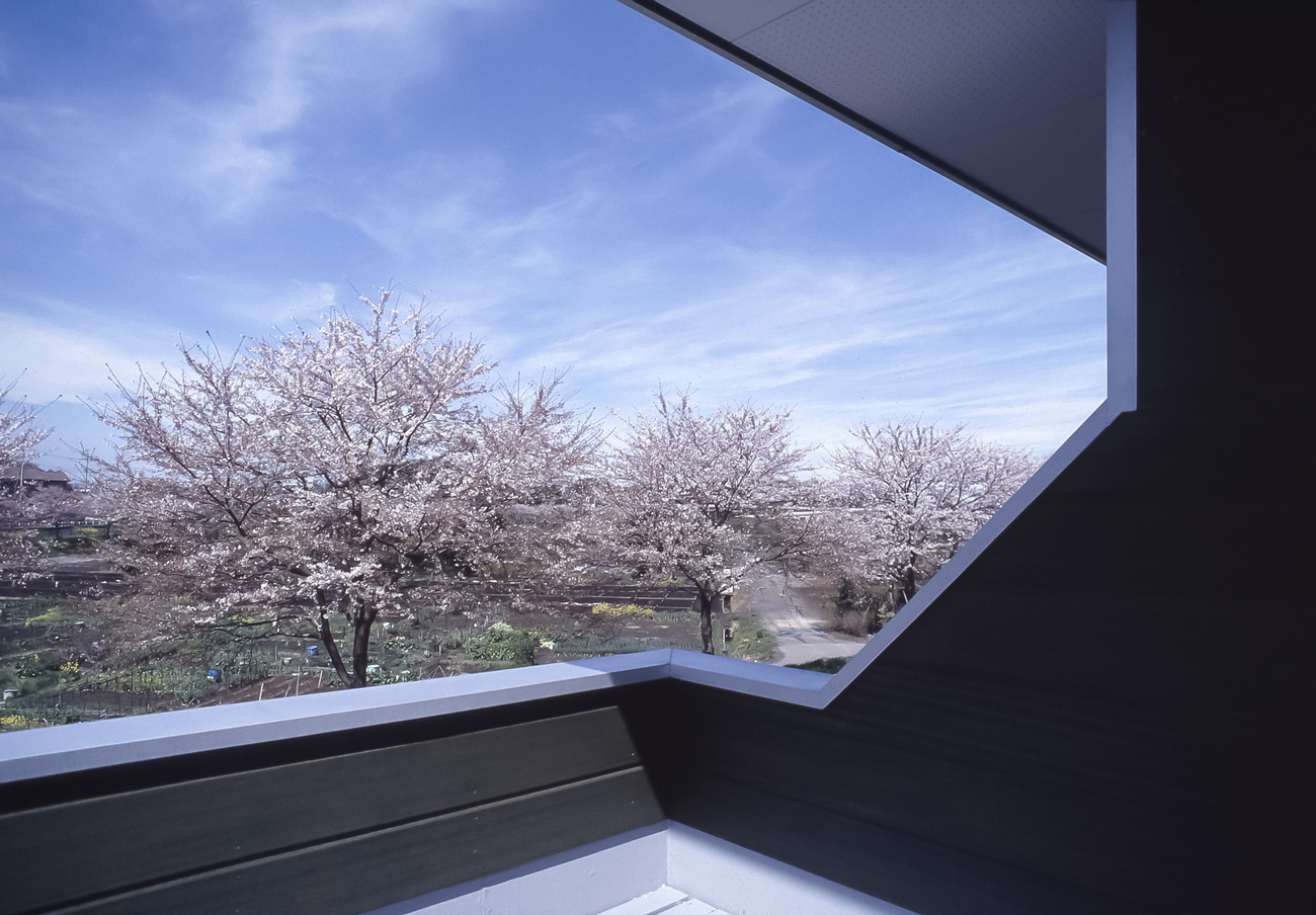 2階バルコニーの低い手すり越しに見える、桜並木