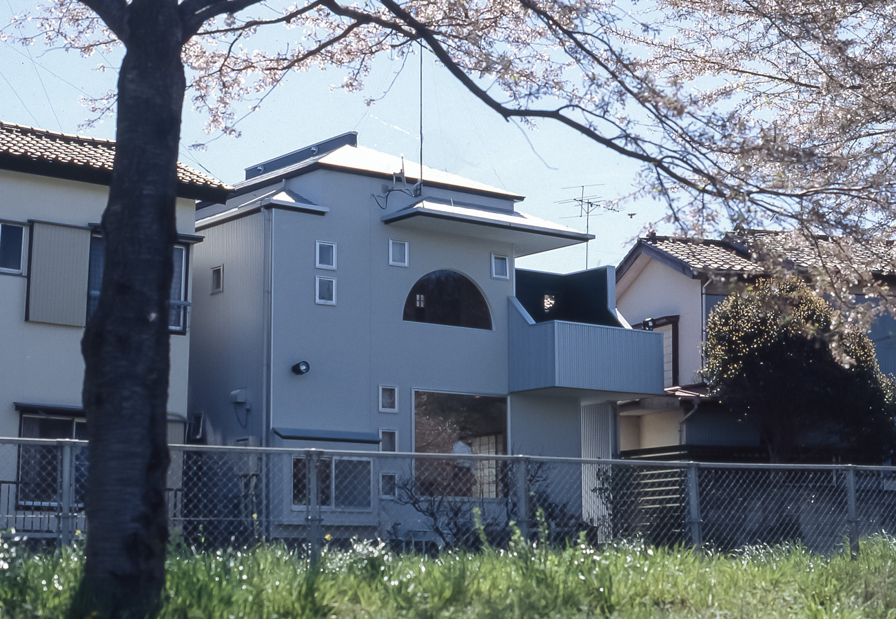 桜の木越しに見る、建物の北側外観