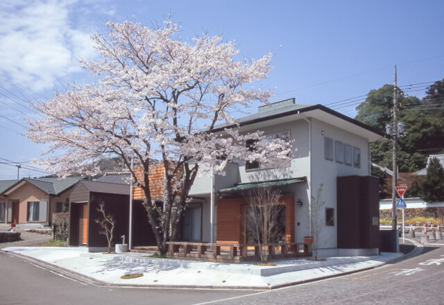 【巾着田の風景を取り込んだ家】桜の大木と暮らす日高市の家づくりの画像