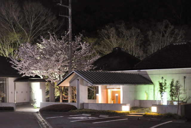 清河園 蜻蛉亭の夜桜（埼玉県飯能市）の画像