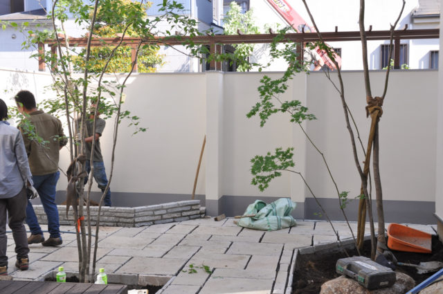 【既存住宅の庭リフォーム】落葉樹と宿根草中心の有機的な庭へ（狭山市）の画像