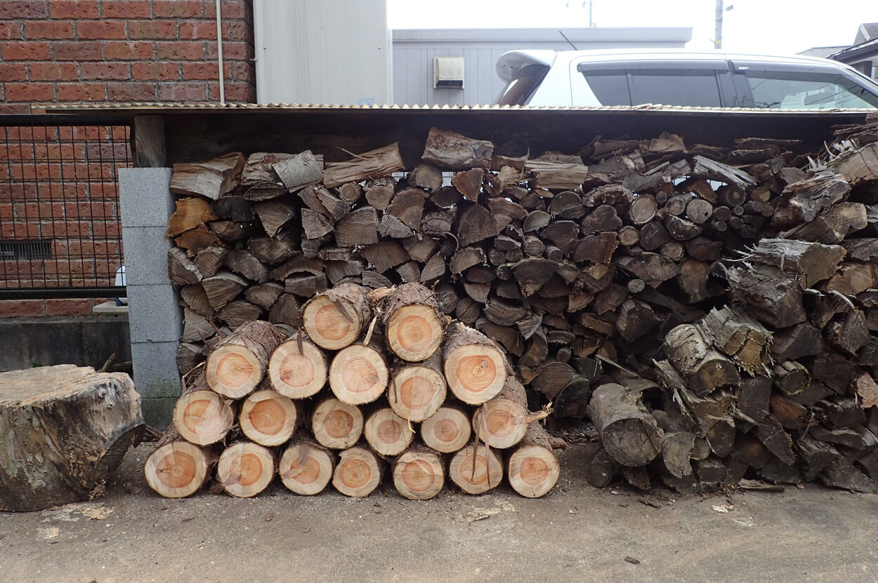 ヒノキの倒木を玉切りにして、薪として活用