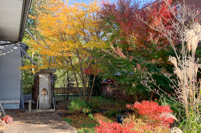【我が家の庭の紅葉】埼玉の家づくり その後の画像