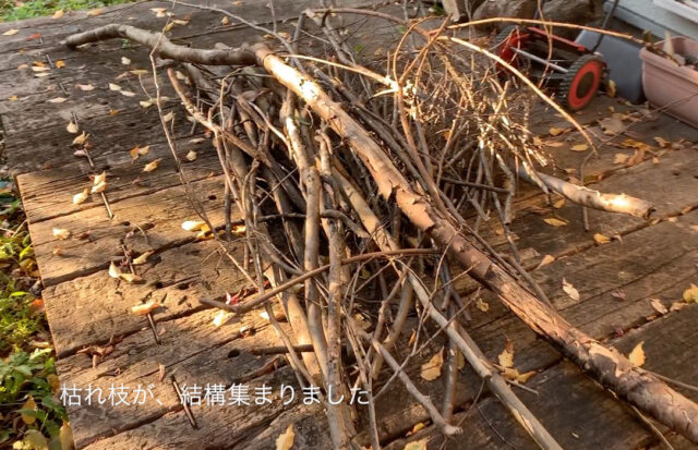 【自宅の庭で薪ストーブの点火材用の『柴刈り』へ】埼玉の家づくり その後の画像