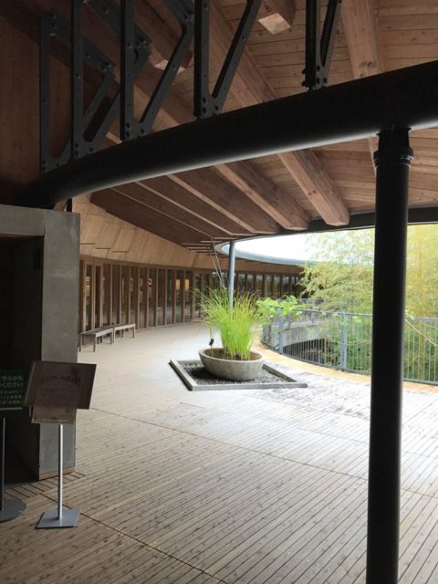 【高知県立牧野植物園の建築】周囲から見えない建築の画像