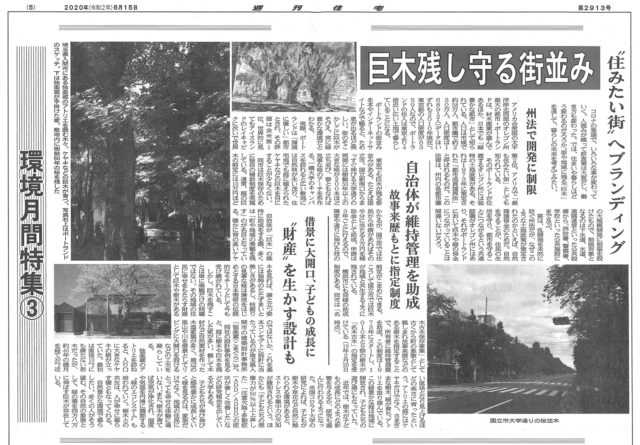 業界新聞「週刊住宅」で『巨木を残し守る街並み』というテーマで取材の画像