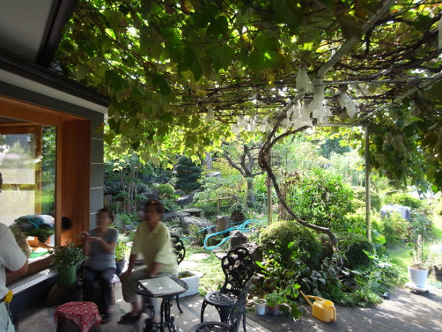 「ここは、ぶどう園？」リビング＆玄関ポーチにステンレスの葡萄棚（入間市）の画像