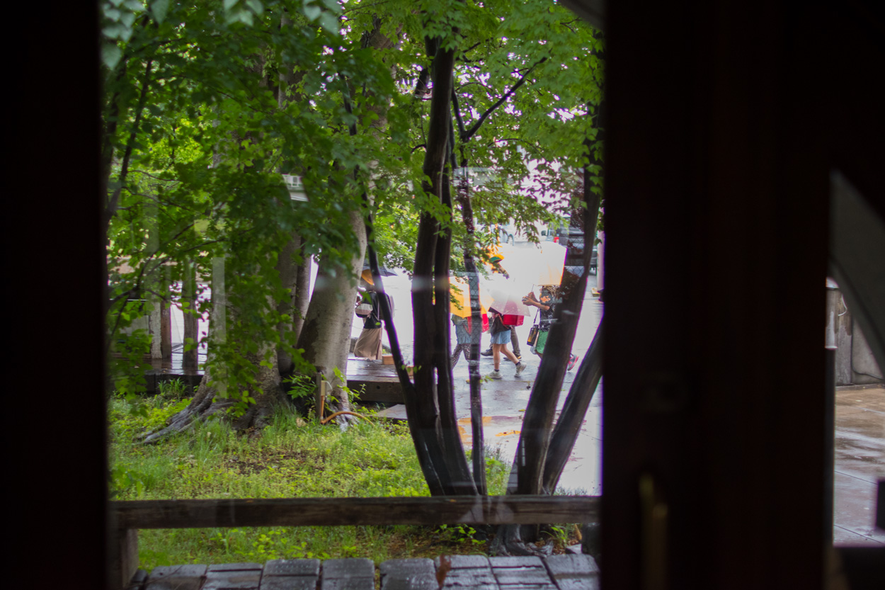 アトリエの窓から見える傘の風景
