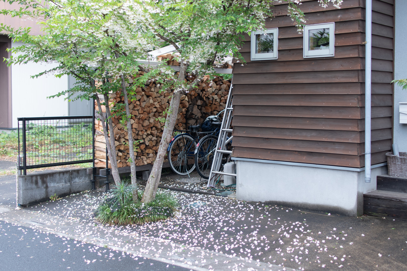 【我が家の門前】オープンスペースにエゴの木が植わっています