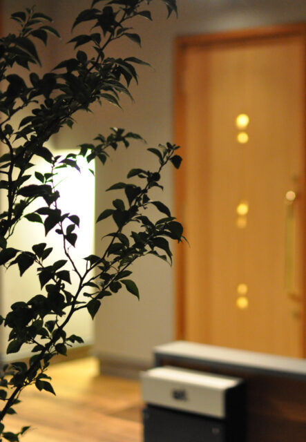 暮らしの灯り、街の光の画像