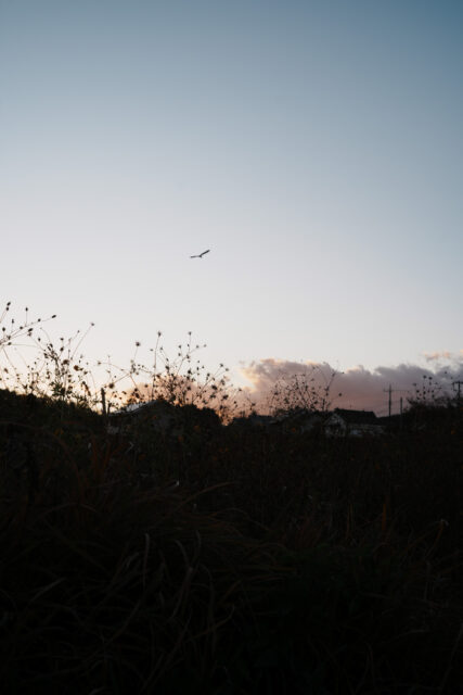 【誰かの暮らしを思いながら】の画像